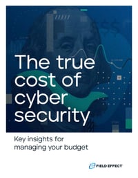 eBook Cover - The True Cost of Cyber Security