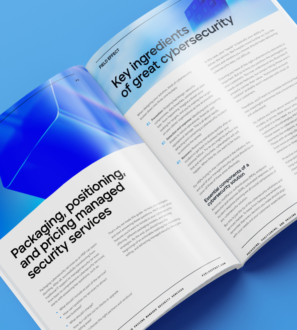 Field Effect eBook Page Spread - Packaging, Positioning, and Pricing