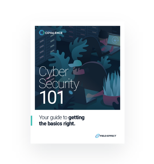 Download the Cyber Security 101 eBook Field Effect Software